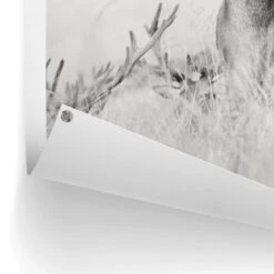 Tuinposter Trots Hert 120x80 Cm Zwart-Wit -Huishoudelijke Goederen Winkel 1000006178 0102