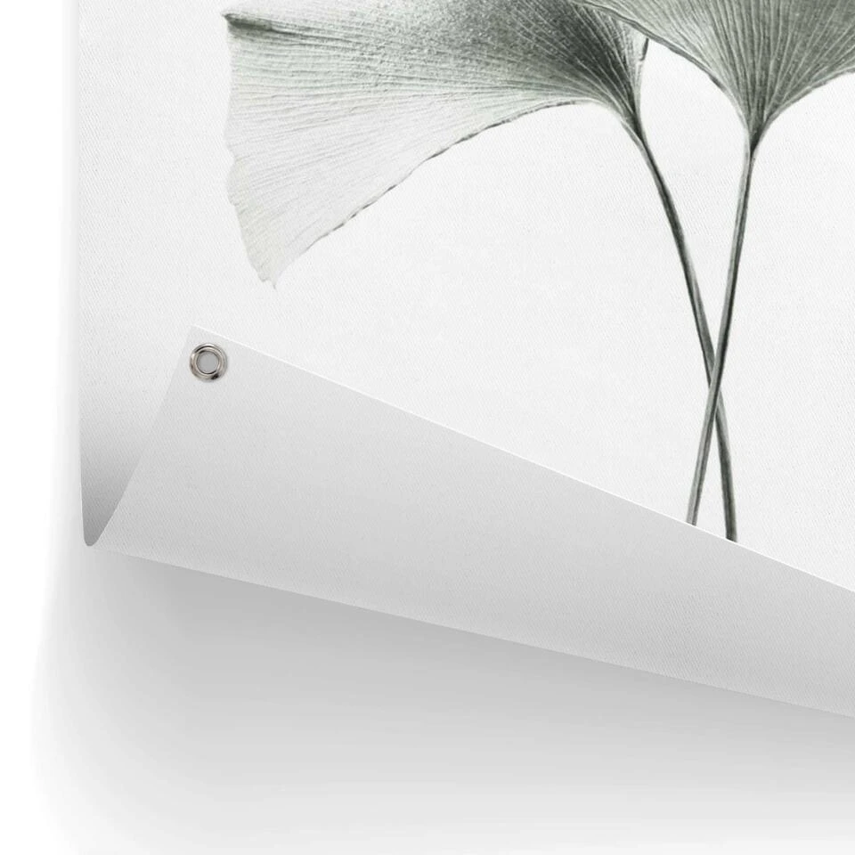 Tuinposter Ginkgo Blad 80x60 Cm Groen 5 Tuinposter Ginkgo Blad 80x60 Cm Groen - Afbeelding 3