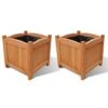 VidaXL Plantenbakken Verhoogd 2 St 30x30x30 Cm Hout -Huishoudelijke Goederen Winkel 1000009544