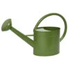 Decoris Gieter - Groen - Zink - 5 L 1 Decoris Gieter - Groen - Zink - 5 L -Huishoudelijke Goederen Winkel 1000014611