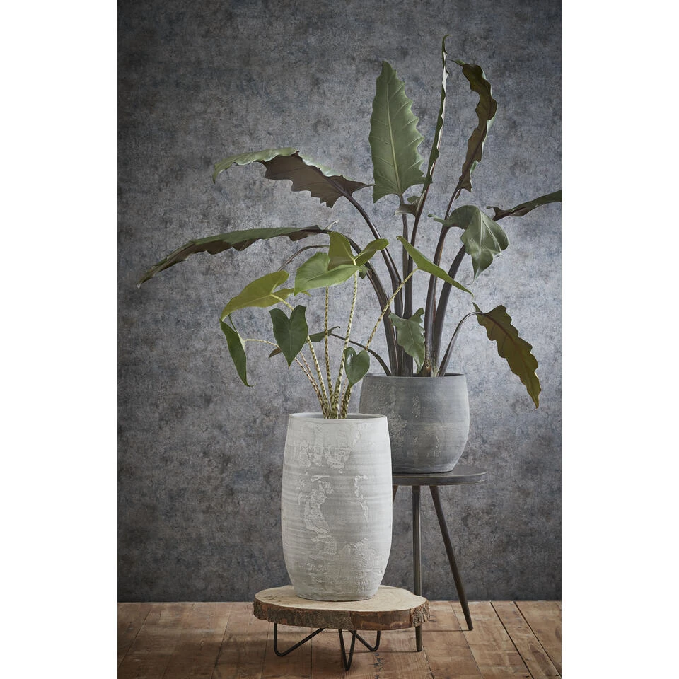 Mica Decorations Pia Boomstam Bijzettafel - H14 X Ø40 Cm - Lichtbruin 6 Mica Decorations Pia Boomstam Bijzettafel - H14 X Ø40 Cm - Lichtbruin - Afbeelding 4