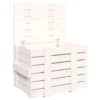 VidaXL Opbergbox 58x40,5x42 Cm Massief Grenenhout Wit -Huishoudelijke Goederen Winkel 1000088062