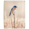 Tuinposter Blauw Vogeltje 80x60 Cm Blauw