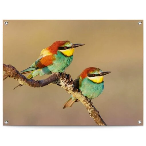 Tuinposter De Bijeneter 60x80 Cm Bont