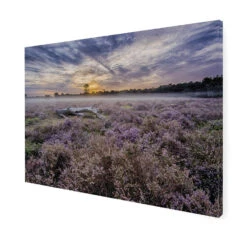 Art For The Home - Buitencanvas - Lavendelveld - 50x70cm 8 Art For The Home - Buitencanvas - Lavendelveld - 50x70cm -Huishoudelijke Goederen Winkel 1000095369 0102