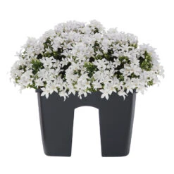 New Arrival -Huishoudelijke Goederen Winkel ed5d93d10097496a88089ae90063c150